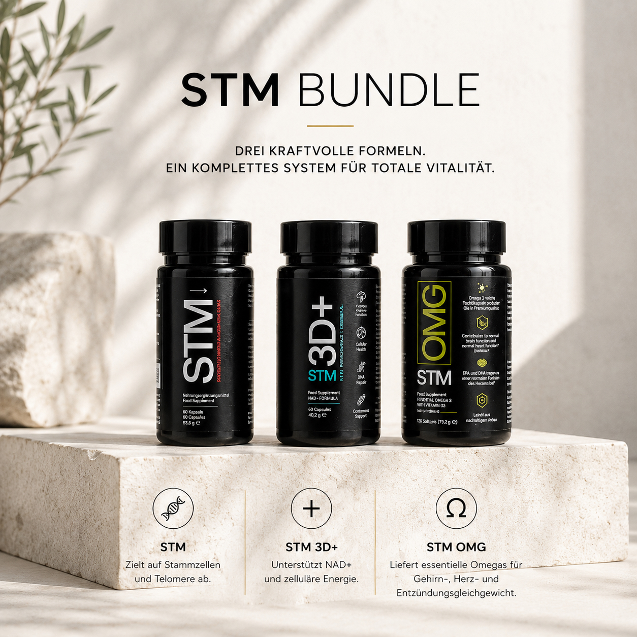 STM Bundle